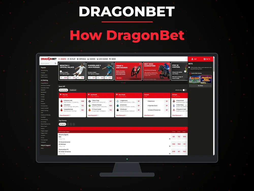 DragonBet - How DragonBet